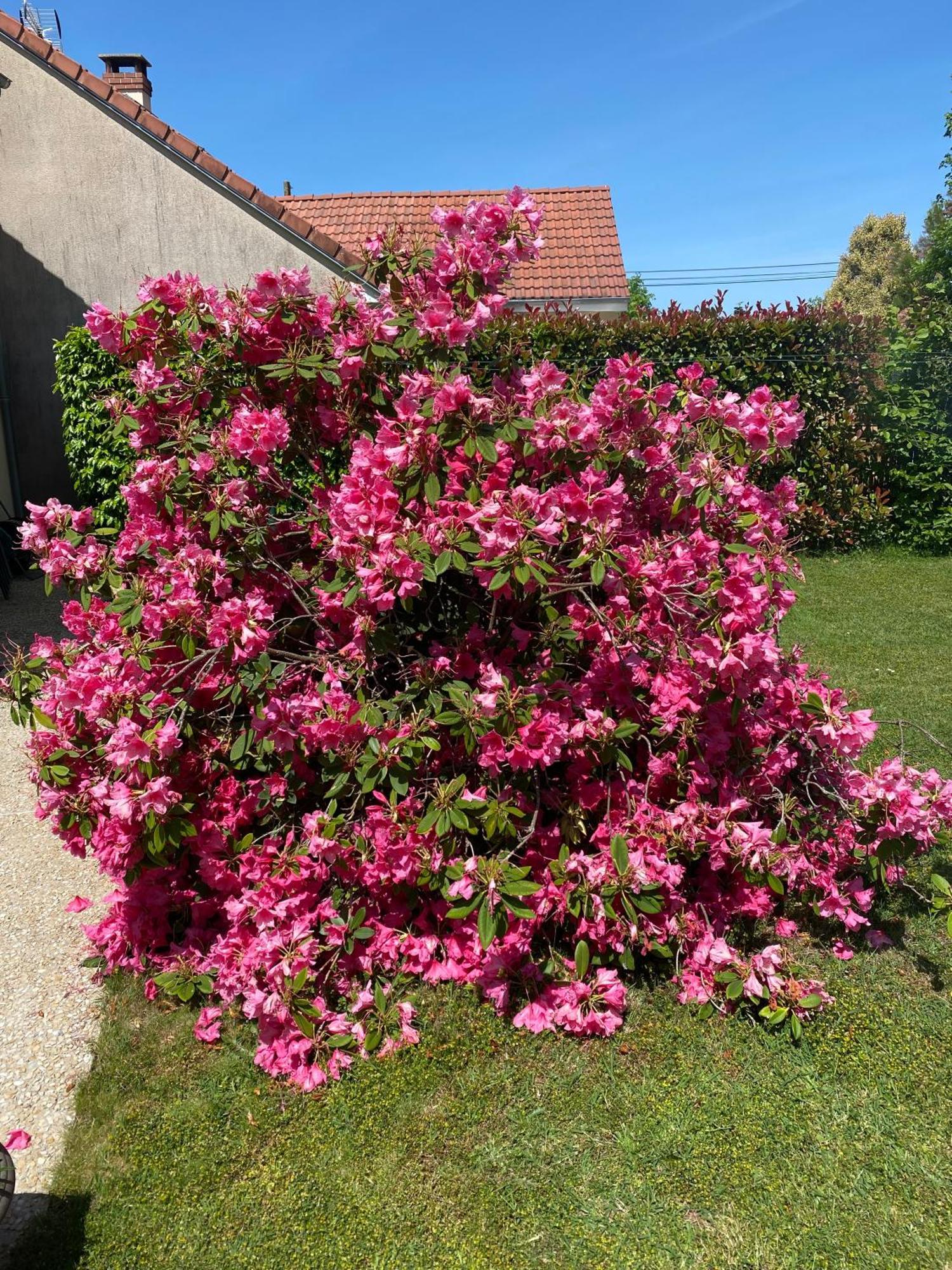 Le Petitepinay Bed and Breakfast Moitron-sur-Sarthe Exteriör bild
